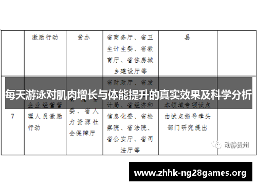 每天游泳对肌肉增长与体能提升的真实效果及科学分析