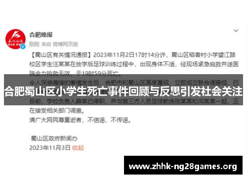 合肥蜀山区小学生死亡事件回顾与反思引发社会关注