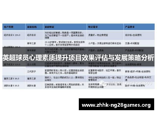 英超球员心理素质提升项目效果评估与发展策略分析